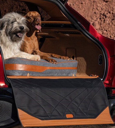 Aston-Martin-DBX-Pet-Pack-Dogs-Trunk.jpg