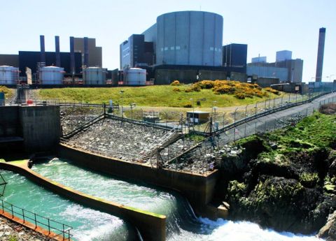 Wylfa SMR Confirmed: £2.5bn Project Ignites Race for UK Nuclear Talent