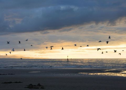 The North West's Hydrogen Future: 5 Key Skills You Need Now